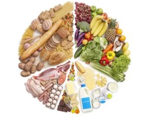 Makanan 4 Sehat 5 Sempurna: Cara Menyusun Menu Seimbang untuk Diet Sehat